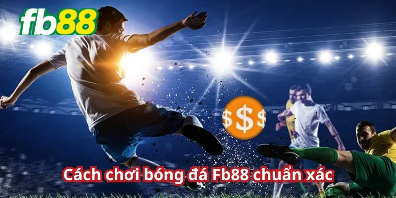 Hướng dẫn chơi bóng đá tại nhà cái Fb88